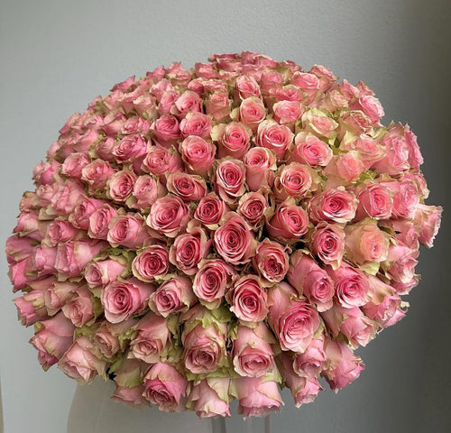 100 Light Pink Roses