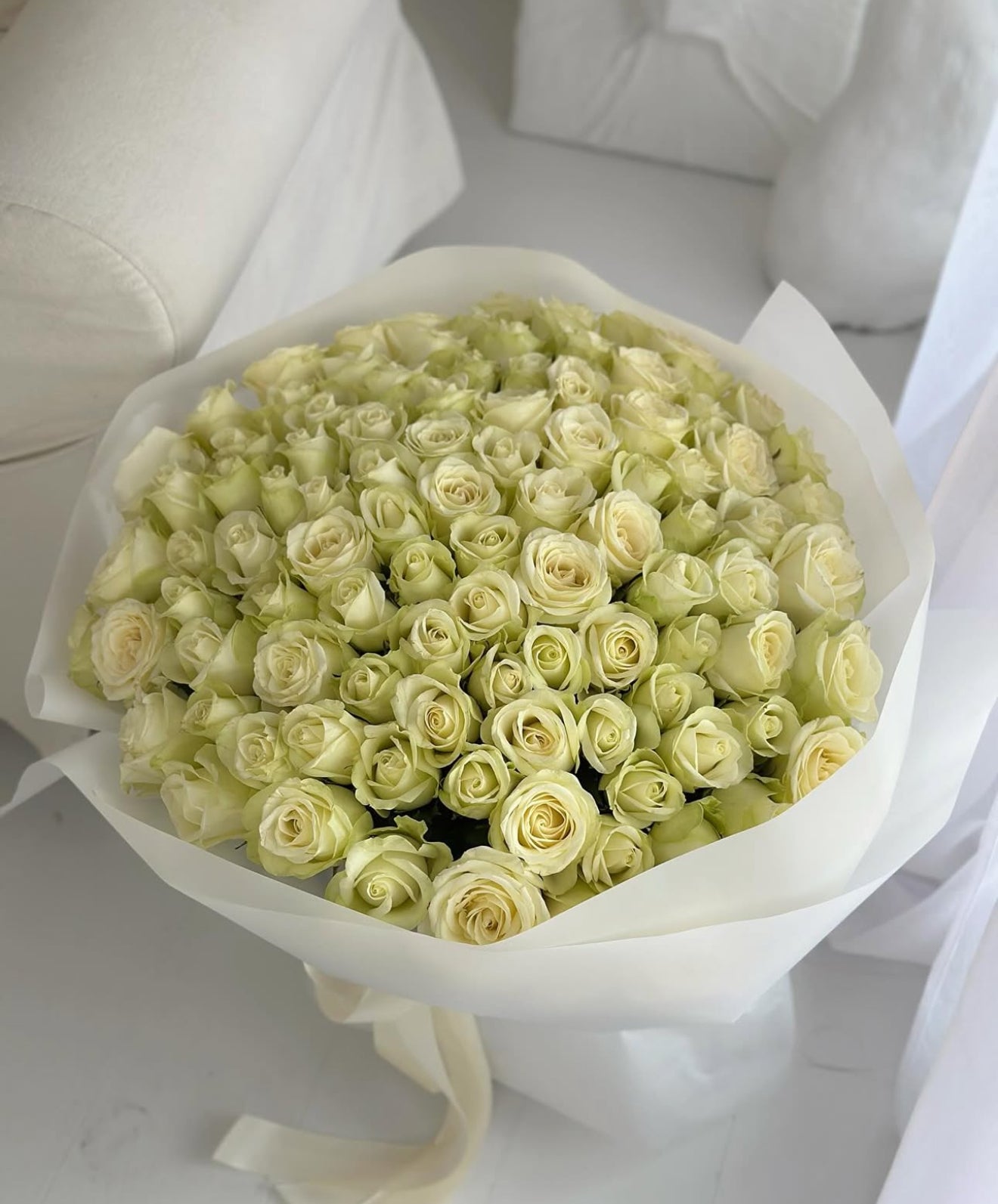 100 White Roses